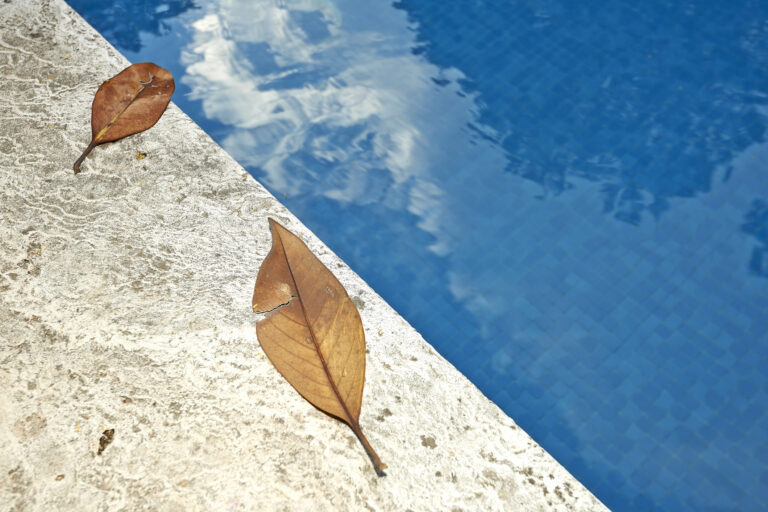 How Leaves and Other Debris Impact Pools and Hot Tubs